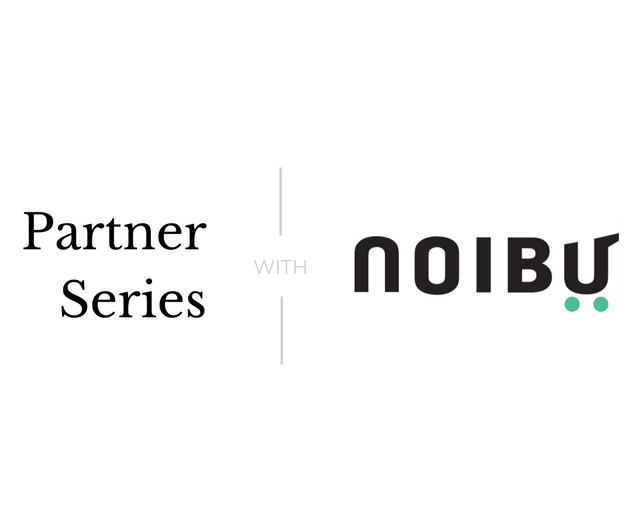 Introducing Noibu – Capture and Fix All Website Bugs